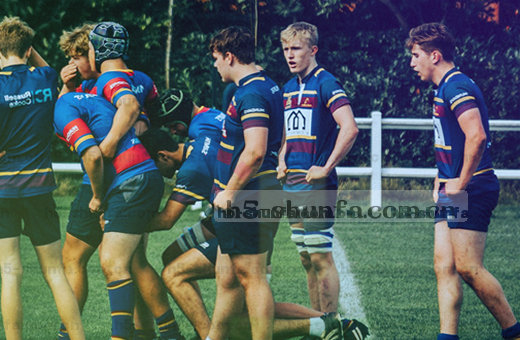 球员跃起 篮球入网 观众欢呼